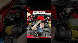 WHY I WOULD I TAKE A ROUSH SUPERCHARGER OVER A WHIPPLE FOR THE NEW 2024 MUSTANGS… SHORTS [upl. by Kellie318]