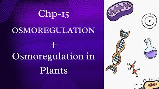 Osmoregulation introductionOsmoregulation in plantshydrophytesxerophytesmesophytesclass 12 [upl. by Roosnam]