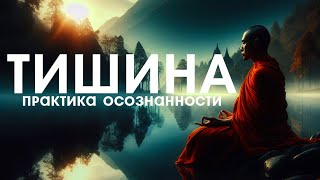 ТИШИНА  ПРАКТИКА ОСОЗНАННОСТИ NikОsho [upl. by Nylrad]