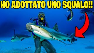 HO ADOTTATO UNO SQUALO [upl. by Sylas]