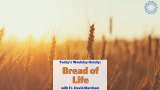 Bread of Life  Father David Marcham [upl. by Ramsdell]