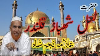 Najam Ali Shah Bayen  Lal Shahbaz Qalandar Full History  2018 New [upl. by Main]