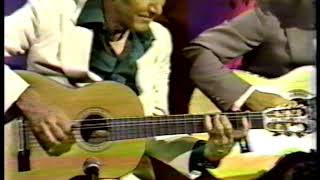 Chet Atkins and Steve Wariner  The Wildwood Flower [upl. by Budge878]