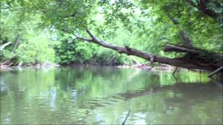 Catawba River Kayaking Provided by NcYakcom [upl. by Krakow]