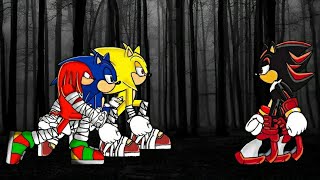 Sonic Knucles The Echidna vs Shadow The Hedgehog SONIC THE HEDGEHOG 3 Drawing Cartoons 2 [upl. by Pooley665]