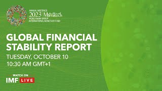 Press Briefing Global Financial Stability Report October 2023 [upl. by Feltie]