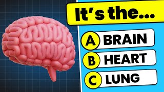 🧠 50 General Knowledge Questions 📚✅ Are You Smarter Than a 5th Grader 🤓 [upl. by Adihsaar]