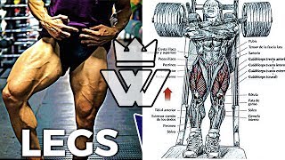 Full Leg Workout  20 Exercises for Strong Legs [upl. by Frost]