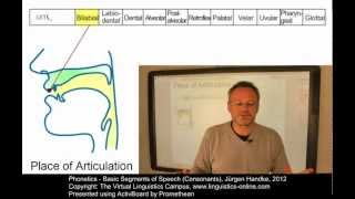 PHO106  Basic Segments of Speech Consonants [upl. by Enimajneb]