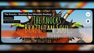 The Knocks Ft Sofi Tukker  Brazilian Soul Merkäta Bootleg [upl. by Hillard]