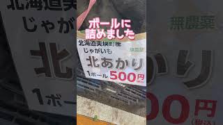 越前そばの里福井県越前市そば打ち 越前 年越し [upl. by Esined608]