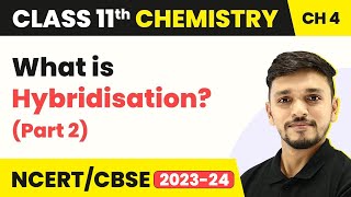 Hybridisation Part 1  Chemical Bonding and Molecular Structure  Class 11 Chemistry [upl. by Einiar209]