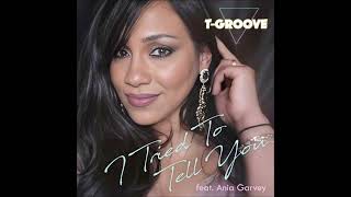 TGROOVE amp ANIA GARVEY  I Tried To Tell You FUNK 2024 [upl. by Doralynn975]