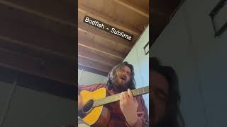 Badfish acoustic cover singer acousticcover music sublime rock [upl. by Ancel]