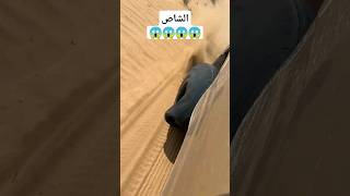 لعب في الشاص 😱😱automobile اكسبلور الشاص 2024 تويوتا شاص youtube لايك ربع هجوله [upl. by Bernt]