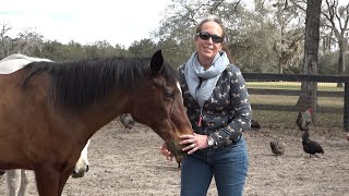 Horse Dies from Sheath Cleaning How to Prevent This [upl. by Youngran]