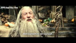 The Hobbit Desolation of Smaug  Ending Scene  ACES RRT P3 DCI Format  Colour Graded [upl. by Assennev]