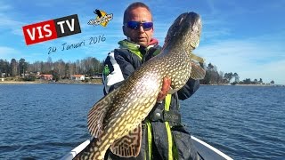 Dalsland  VisTV 24 Januari [upl. by Parshall]