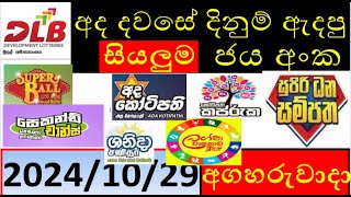 Lottery Results today DLB ලොතරැයි ප්‍රතිපල අද All 20241029 results lottery viral subscribe [upl. by Mailli]