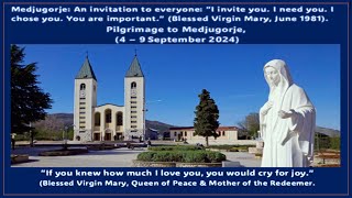 Pilgrimage to Medjugorje  A Talk by Ivan Dragicevic Medjugorje Visionary [upl. by Hubey]