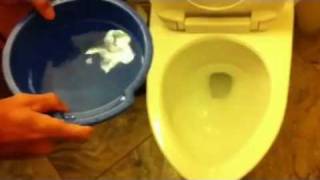 How things work Flushing a toilet using a bucket of water [upl. by Zsa Zsa]