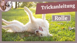 Wie Du Deinem Hund ROLLE beibringst  Trickdogging  Hundetricks [upl. by Ahsieym90]