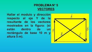 VECTORES Nº 5 [upl. by Nerua]