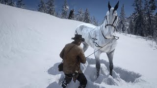 Red Dead Redemption 2 Beautiful Big Horse Caught [upl. by Isola]