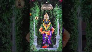 Vitthal namachi Shala bharli 🌹🚩🙏 viral shorts video Vitthal YouTube [upl. by Carson]