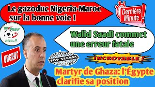 Le gazoduc NigeriaMaroc sur la bonne voie Martyr de Ghaza lÉgypte clarifie sa position [upl. by Abebi]