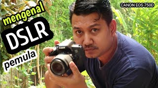 Review CANON eos 750D kemera ciamik untuk pemula [upl. by Lalitta]