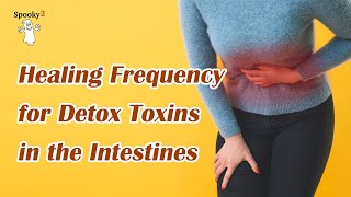 Healing Frequency for Detox Toxins In The Intestines  Spooky2 Rife Frequencies [upl. by Ahael142]