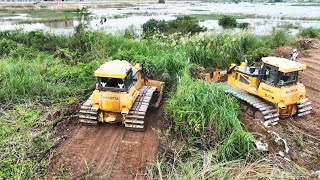 The Ultimate Land Clearing Brush And Cutting Leveling Land By SHANTUI Bulldozer Skills operator [upl. by Inaflahk]