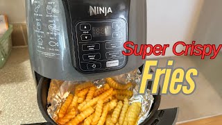 Super Crispy French Fries using Ninja Air Fryer [upl. by Neerahs]