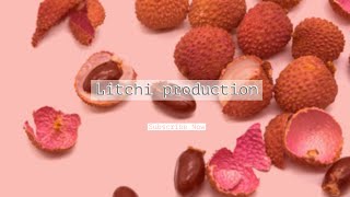 Production Technology of Litchi [upl. by Ainig860]