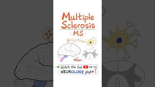 Multiple Sclerosis MS Demyelinating Autoimmune Disease  Part 3…anatomy neuro nurse mbbs [upl. by Nye]