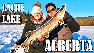 Cache Lake Alberta  Tip Up Ice Fishing for Pike [upl. by Ilbert]