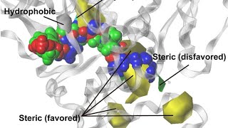 COMPARATIVE MOLECULAR SIMILARITY INDEX ANALYSIS COMSIA [upl. by Lucinda]