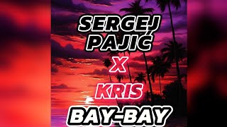 SERGEJ PAJIC X KRIS BAYBAY lyrics [upl. by Anialram]