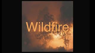 Mandolin Orange Wildfire Lyric Video [upl. by Nileve877]