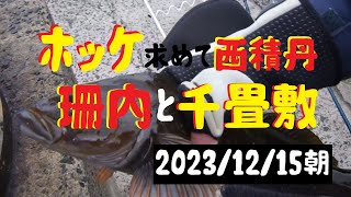 【海釣り】ホッケ釣り・西積丹の珊内と兜千畳敷！！！20231215朝 [upl. by Obnukotalo469]