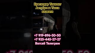 avtobus taxi xizmati krasnodar toshkent [upl. by Anstice385]