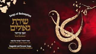 Hodu LHashem Ki Tov  Yosef Karduner [upl. by Ronica]