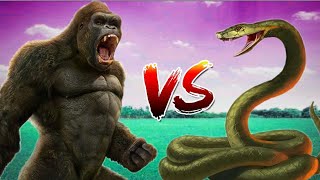 King Kong vs Snake Fight With SHINCHAN vs CHOP Epic Battle [upl. by Oninrutas531]