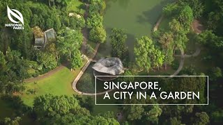 Singapore A City In A Garden [upl. by Nyhagen]