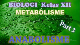 Metabolisme Kelas XII IPA Part 3  Anabolisme Fotosintesis [upl. by Tound589]