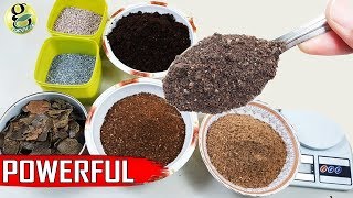 Best DIY Fertilizer Mix Recipe Universal Allpurpose Mixed Fertilizer Powder [upl. by Keelia]