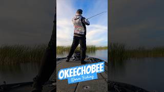 Lake Okeechobee Worm 🪱 Fishing shorts bassfishing worms [upl. by Aivonas387]