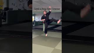 Crescent Kick Progressions Which level are you kick karate cobrakai blackbelt tkd taekwondo [upl. by Huai]