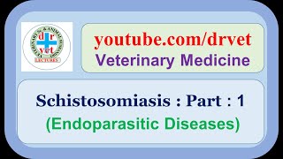 Schistosomosis Part 1 [upl. by O'Rourke]